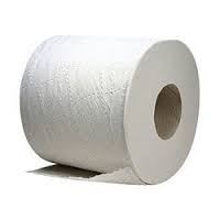 TOILET TISSUE 2 PLY 96RL/CS